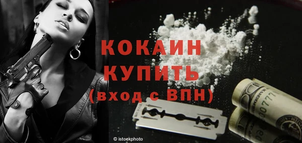 крисы Абаза