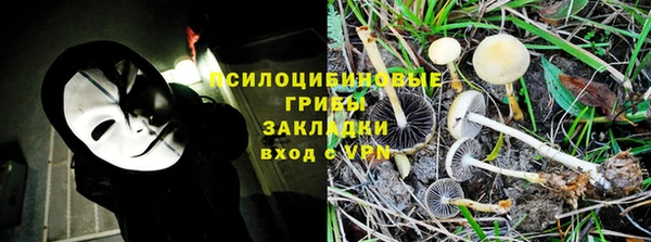 стаф Алексин