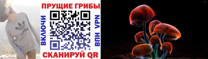 Псилоцибиновые грибы Magic Shrooms Киржач