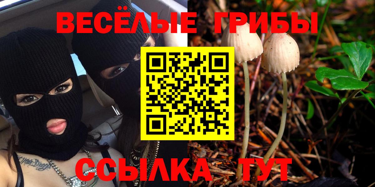 Киржач  Псилоцибиновые грибы мицелий  Вход с VPN  Псилоцибиновые грибы Magic Shrooms 