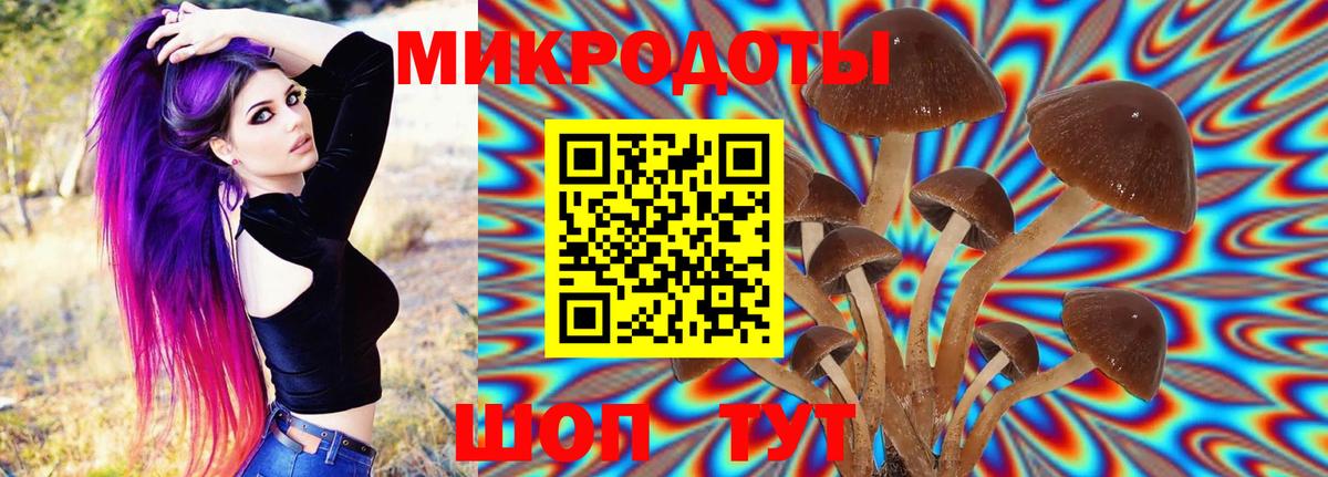 Псилоцибиновые грибы Magic Shrooms Киржач